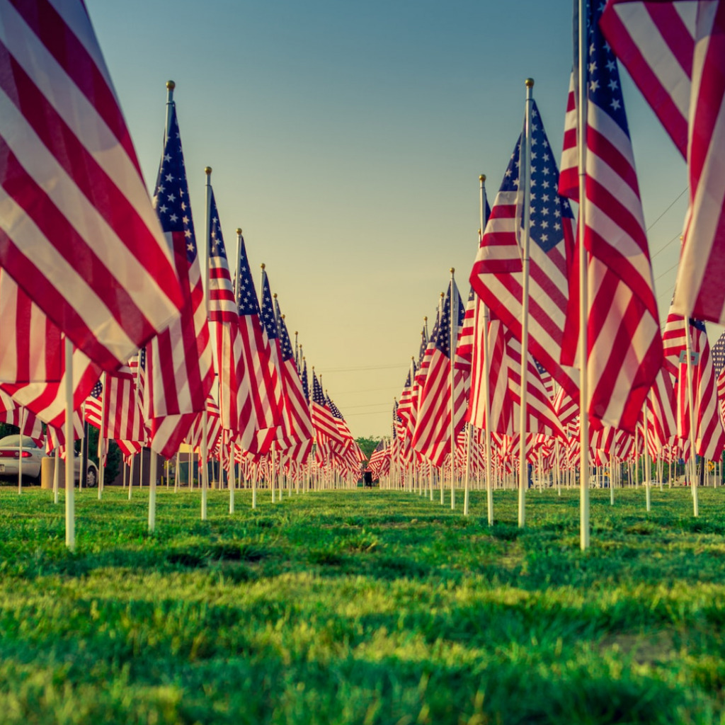 video_imageV95okVvGG3 Team 1 Plastics